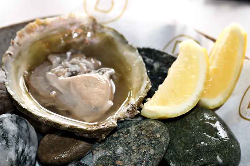 Oyster Bar - Boardwalk Restaurant in Steamer Wharf Queenstown